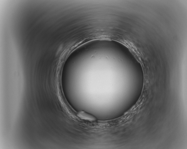 X0000115520097200911131453