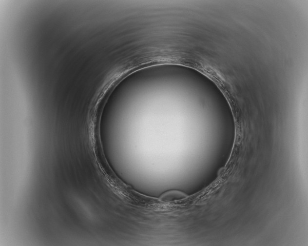 X0000115520098200911131453