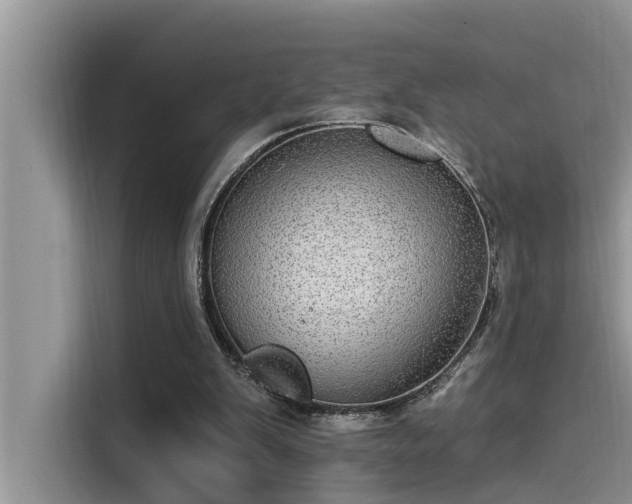 X0000115520103200911131453