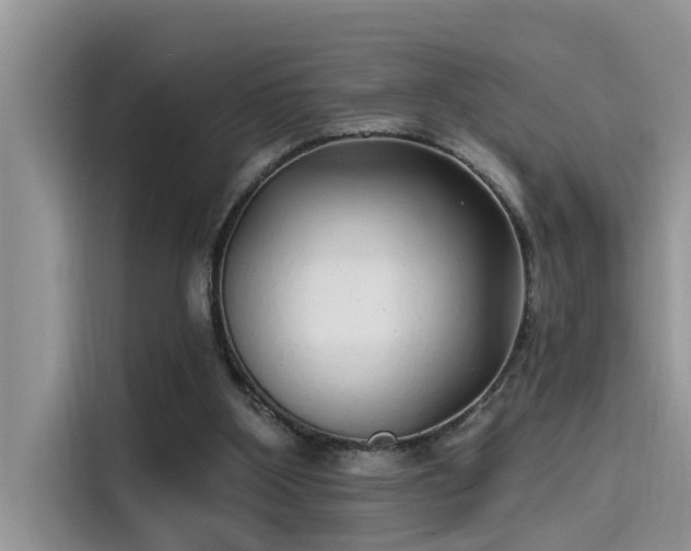 X0000115520107200911131453