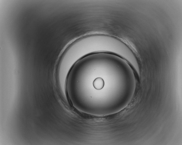 X0000115520108200911131453