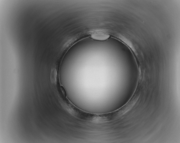 X0000115520109200911131453