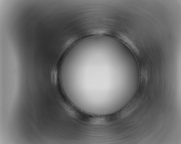 X0000115520110200911131453