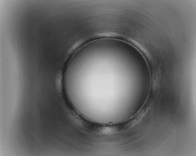 X0000115520111200911131453