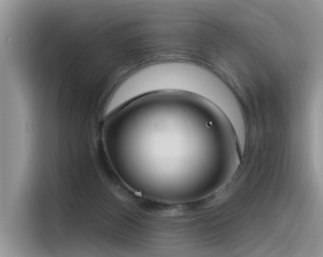 X0000115520116200911131453