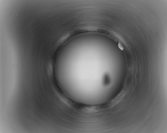 X0000115520120200911131453