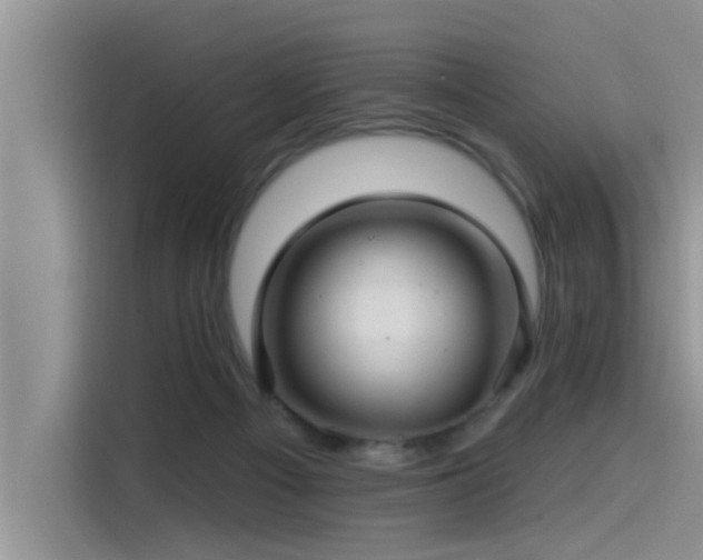 X0000115520121200911131453