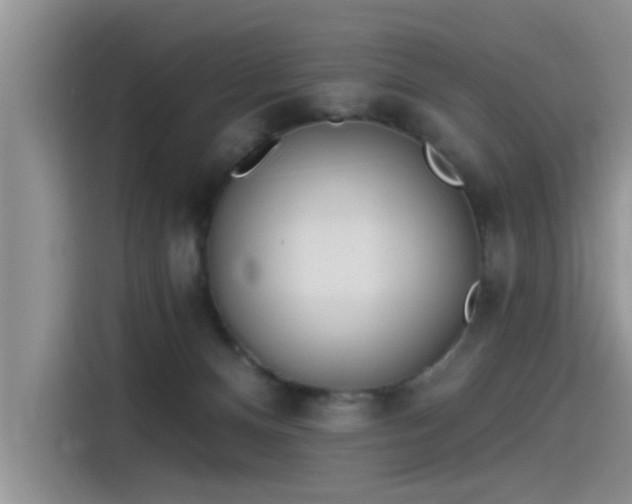 X0000115520128200911131453