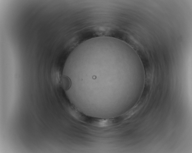 X0000115520130200911131453