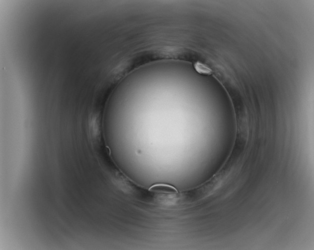 X0000115520131200911131453