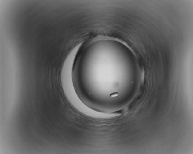 X0000115520133200911131453