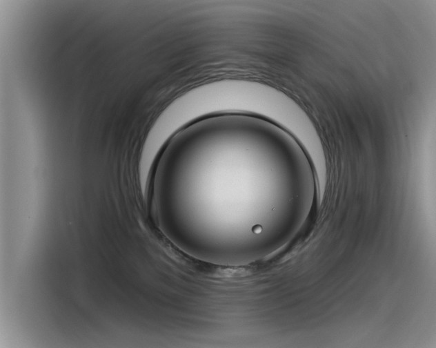 X0000115520137200911131453