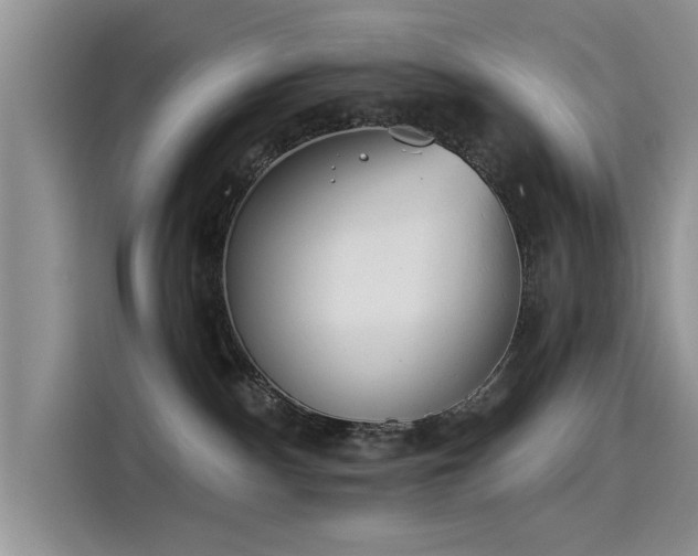 X0000115520140200911131453