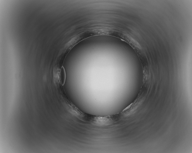 X0000115520141200911131453