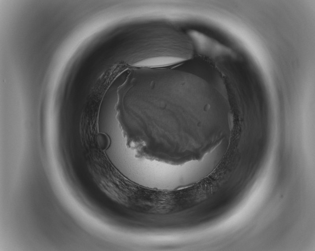 X0000115520143200911131453