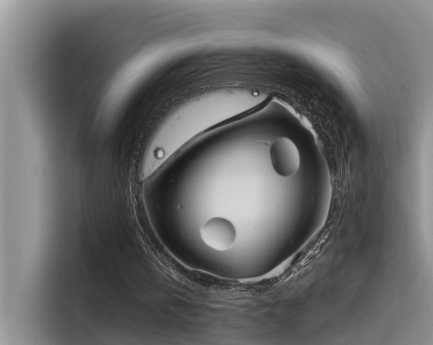 X0000115520146200911131452