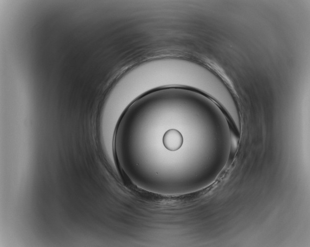 X0000115520154200911131452