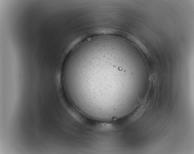 X0000115520159200911131452