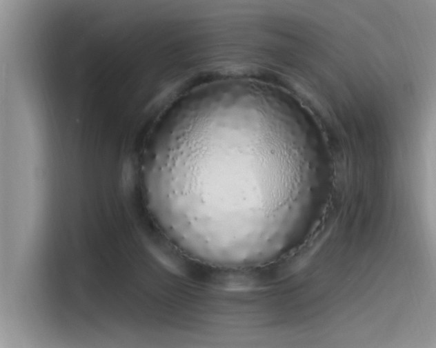 X0000115520165200911131452