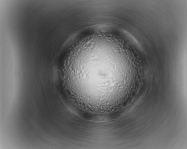 X0000115520169200911131452