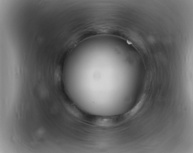 X0000115520174200911131452