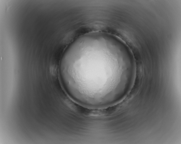 X0000115520177200911131452