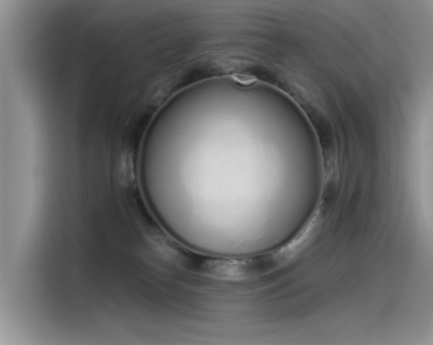 X0000115520182200911131452