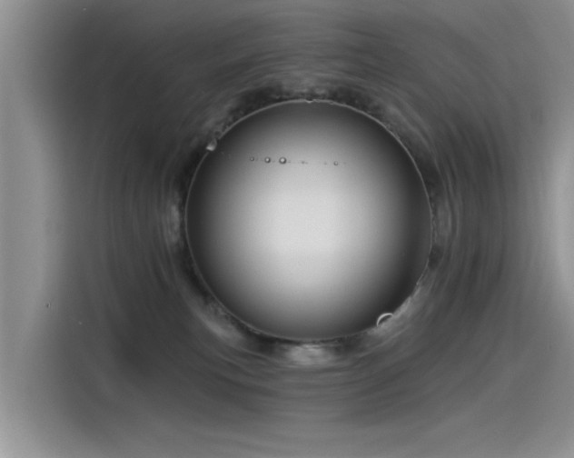 X0000115520183200911131452