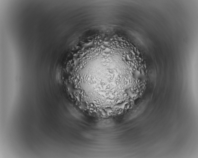 X0000115520185200911131452