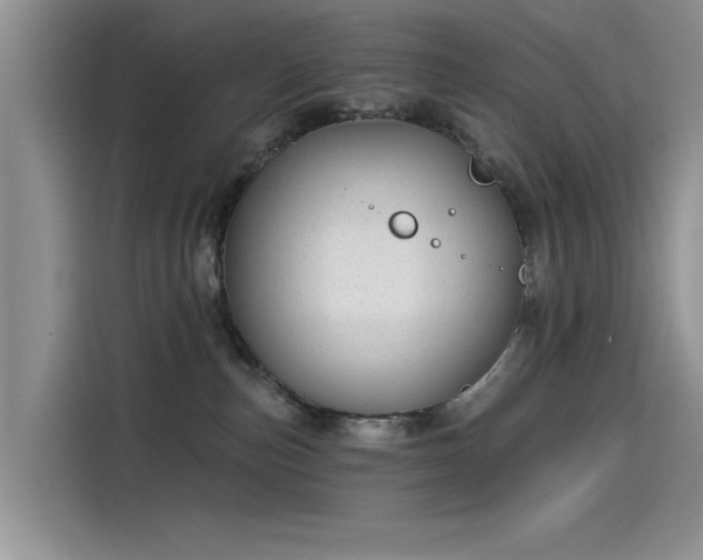 X0000115520187200911131453