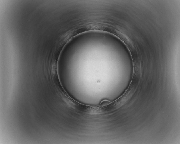 X0000115520189200911131453