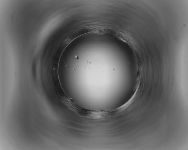 X0000115520190200911131453