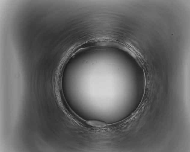 X0000115520193200911131452