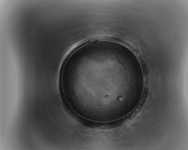 X0000115520196200911131452