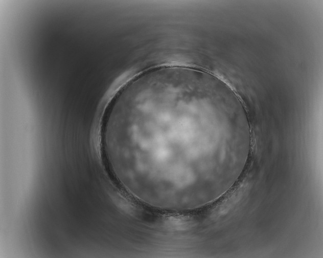 X0000115520199200911131452