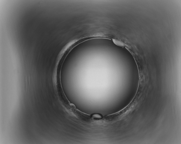 X0000115520200200911131452