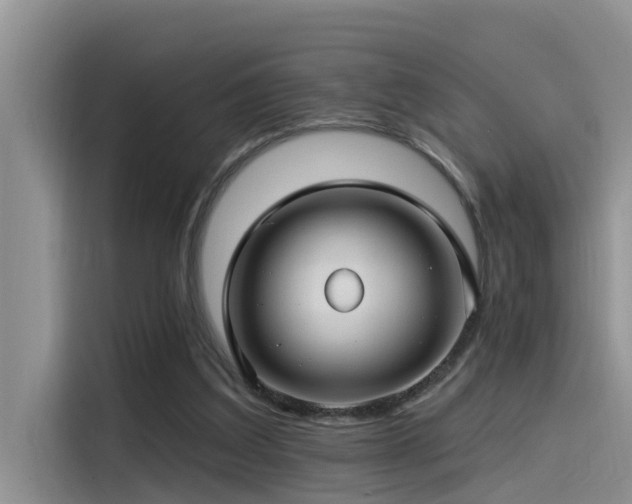 X0000115520203200911131452