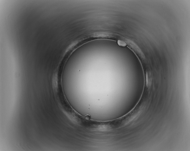 X0000115520204200911131452