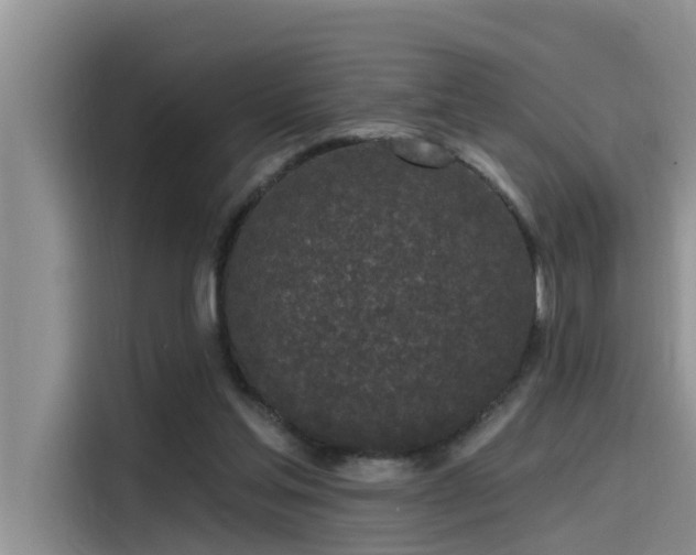 X0000115520205200911131452