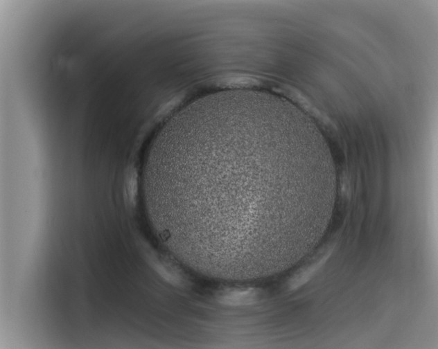 X0000115520206200911131452