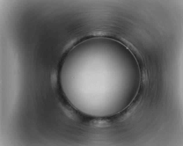 X0000115520208200911131452