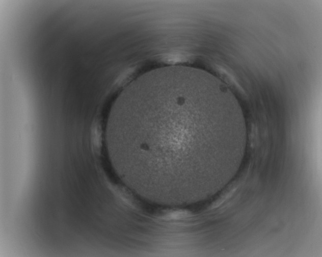 X0000115520210200911131452