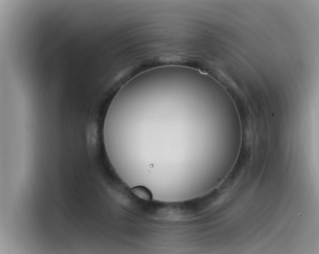 X0000115520211200911131452