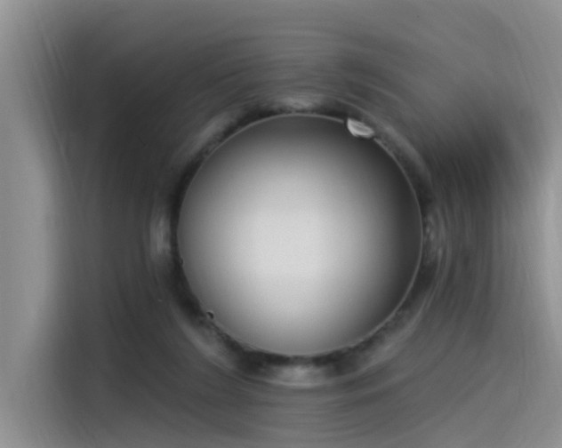 X0000115520212200911131452