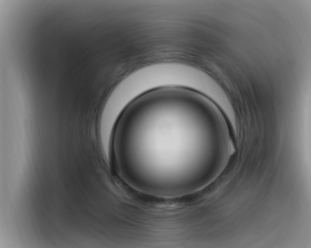 X0000115520213200911131452