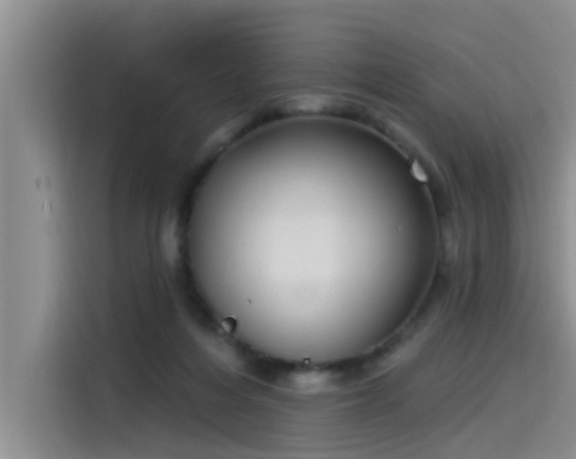 X0000115520216200911131452