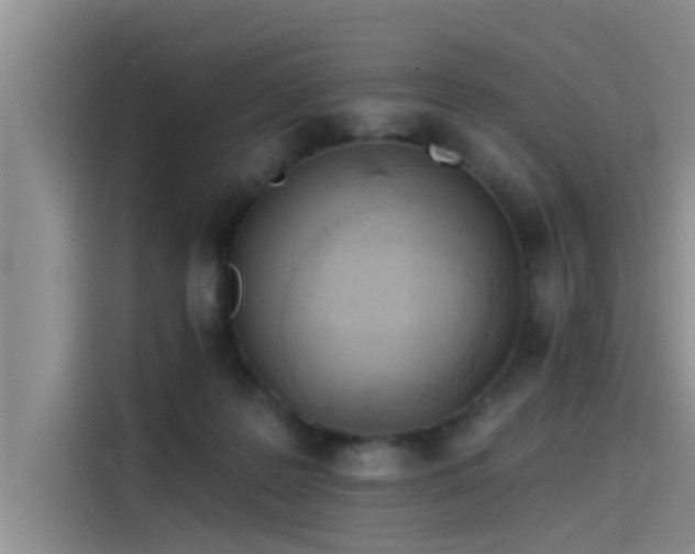 X0000115520219200911131452