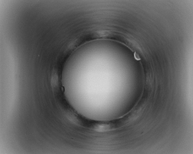 X0000115520220200911131452