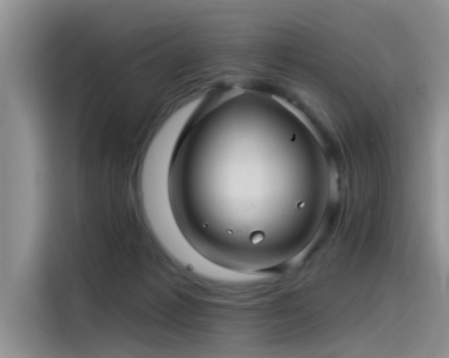 X0000115520221200911131452