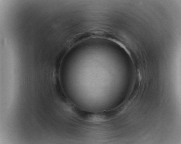 X0000115520223200911131452